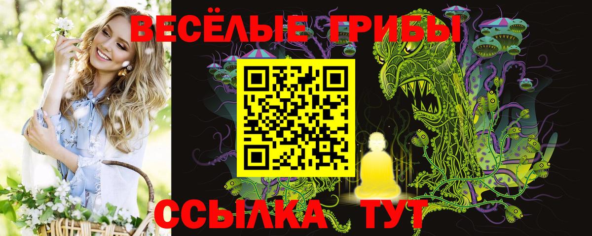 Галлюциногенные грибы ЛСД  Вход с VPN  где найти   Батайск 