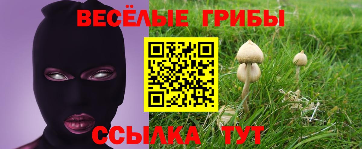 Псилоцибиновые грибы мухоморы Батайск